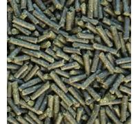 Catappa Sticks (Almond Tree Leaves) 100 g Pellets for Shrimps, Crabs, Snails & Co Food Sticks + Water Treatment