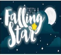 Catch a Falling Star PC Steam CD Key