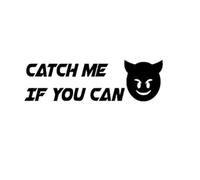 Catch ME IF You CAN Sticker Decal car - Van - Bike - Camper - Lorry (White)