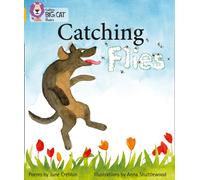 Catching Flies : Band 09/Gold