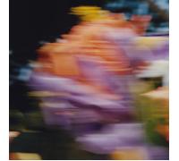 Catching Flies - Tides [VINYL]