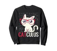 Catculus Mathematical Equations Cat Math Student Teacher Sweatshirt