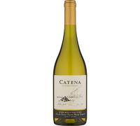 Catena Chardonnay 2023/24, Mendoza
