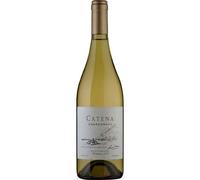 Catena Chardonnay 75cl x 6