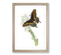 Caterpillar & Butterfly by George Shaw Framed Print | A2 Oak Framed Wall Art | Ready to Hang | Modern Animal Picture | Living Room Bedroom Lounge Office