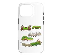 Caterpillar Lover Insects Species Kids Biology Caterpillar Case for iPhone 16 Pro