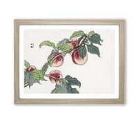 Caterpillar On A Peach Tree By Morimoto Toko Asian Japanese Framed Print | A2 Oak Framed Wall Art | Ready to Hang | Asian Floral Picture | Living Room Bedroom Lounge Office