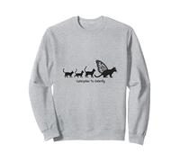 Caterpillar To Caterfly: Whimsical Cat Evolution Art Sweatshirt, Adult Unisex, Heather Grey, XXL