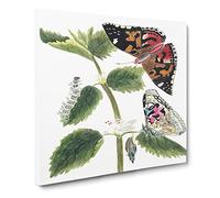 Caterpillars & Butterflies Canvas Print | Gallery Wrapped 30mm Frame Wall Art | 14x14 inches | Ready to Hang | Modern Picture | Living Room Bedroom Lounge Office