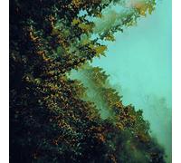 CATERPILLARS OF CREATION - POLYMOON