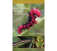Caterpillars of Eastern North America - A Guide to Identification and Natural History: 36 (Princeton Field Guides)