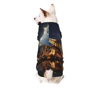 Cathedral of The Holy Family and Eiffel Tower Dog Hoodie - Soft & Breathable Pet Clothes for Small to Large Dogs, Stylish and Comfortable Dog Clothes