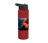 Cathedral Paris France Architecture Stainless Steel Insulated Water Bottle