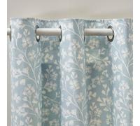 Catherine Lansfield Brooke Floral 46x72 Inch Lined Eyelet Curtains Two Panels Duck egg Blue