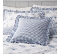 Catherine Lansfield Lucie Floral Frill Blue Filled Cushion 45x45cm