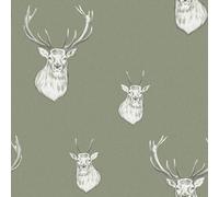 Catherine Lansfield Stag Wallpaper in Green Catherine Lansfield Green