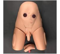 Catheterizat Training Simulator for Mcal Students and Healthcare Eon, Realistic Hands-On Learning Tool, chanable Male and Female Genitalia, Durable PVC Construct, Ideal for