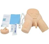 Catheterization Manikin Nursing Practice Simulator Model for Medical Teaching, Interchangeable Mannequin for Study and Display in Healthcare Education