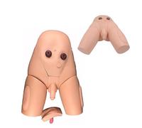 Catheterization Model for Male and Female Training, Interchangeable Practice Model for Nursing Education, Medical Operation Teaching Tool, Enema and Catheterization Practice