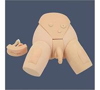 Catheterization Model Male And Female Manikin Urinary Human Anatomy Nursing Practice Simulator Interchangeable Mannequin