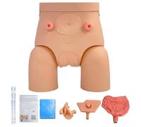Catheterization Model Male Female Interchangeable, Nursing Practice Urinary Urethral Catheter Manikins PVC Teaching Catheter Model for Students Nurses Catheterization Simulator Kit