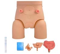 Catheterization Model Male Female Interchangeable, Nursing Practice Urinary Urethral Catheter Manikins for Students Nurses Catheterization Simulator Kit