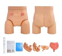 Catheterization Model Male Female Interchangeable, Urinary Urethral Catheter Nursing Manikin PVC Anatomy Genital Organ Model for Medical Clinical Teaching