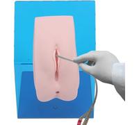 Catheterization Training Model, Male and Female Anatomy Practice Kit for Medical Education, Includes Storage Bag
