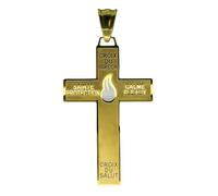 Catholic Marie Julie Jahenny of Benediction with Protection Cross of Forgiveness with White Enamel Flame,Holy Cross of Pardon , Stainless Steel Crucifix End Times Pendant,cruz del perdón,cruz del