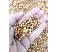 Catholic Rosary Beads for Sale 4mm Rosary Making holy Land Olive Wood (500 Beads)