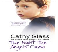 Cathy Glass The Night the Angels Came Paperback Book Cathy Glass Multicolor