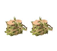 CATIEBYE 2 Rolls Natural Jute Rope with Artificial Green Leaves, DIY Replacement Cat Scratching Post Rope for Indoor Cat Trees and Scratchers, 5 Meters Per Roll, Multifunctional Pet