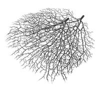 CATIEBYE 2pcs Black Simulation Coral Branch Aquarium Decor, Lightweight and Resistant to Breaking, Fish Tank Decoration for Home Interiors with Lifelike Appearance