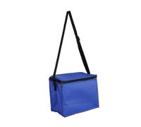 CATIEBYE Multi-Functional Food Insulated Bag Insulated Take Away Bags for Cold Food Large Capacity Catering Bag Easy to Carry Store