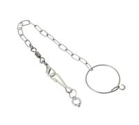 CATIEBYE Parrot Stainless Steel Separated Anklet Buckle Chain Bird Foot Lock Ring Set Size 6 for Cage Use and Bird Leg Security