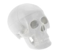 CATIEBYE Skull Model Small Human Anatomy Skeleton for Teaching Mini Skulls Simulation Decor Desktop Halloween Craft Art Project