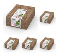 Catit Cat Grass Kit for The Catit Senses Grass Planter, Pack of 15