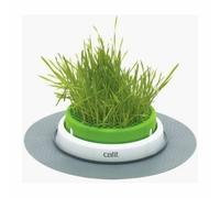 Catit Cat Grass Planter Senses 2.0BPA-Free Kitten stimulation Toy Stable Grass