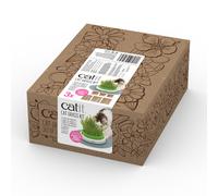 Catit Senses 2.0 Grass Kit (3 pk) 1 Kit
