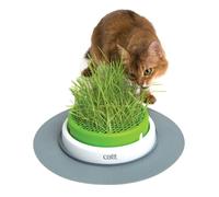 Catit Senses 2.0 Grass Planter