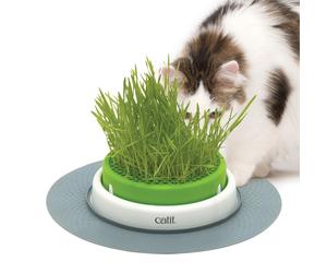 Catit Senses 2.0 Grass Planter Cat Toy Natural Grass Edible Hunting Treat Toy