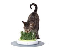 Catit Senses Grass Garden,1.63 pounds