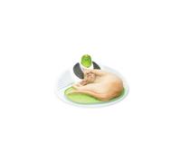 Catit Senses Wellness Centre