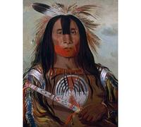 Catlin Buffalo Bulls Back Fat Blood Native American Portrait Large Wall Art Print Canvas Premium Mural