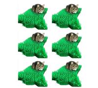 CATMAT. Tissue Grass Mats for Cats and Kittens. 6 Piece, Paper, Green