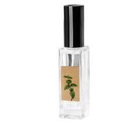 Catnip Spray - Cat Mist Mist, Scratch Polle Spray | Attractive Spray with Catmint for Cats, Safe Formula for Use on Nests and Toys, Stimulates Play and Helps Protect