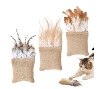 Catnip Toys for Cats Interactive Bite Resistant Indoor Pet