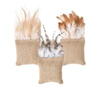 Catnip Toys for Indoor Cats Interactive Bite Resistant Indoor Pet