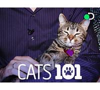 Cats 101 Season 1