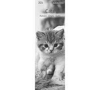 Cats 2024 Bookmark Calendar 5.5 x 16.5 cm Cats Animal Calendar Reading Aid Alpha Edition